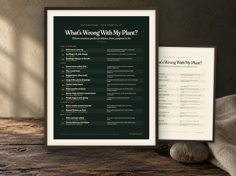 May include: A dark green and a cream-colored informational poster titled What's Wrong With My Plant? Fifteen common garden problems, from symptom to fix. The posters list various plant issues, symptoms, and solutions in a structured grid format.