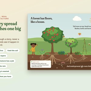 May include: A digital illustration of a forest ecosystem showing layers of trees, bushes, and roots with the text: A forest has floors, like a house. Tall trees on top. Small trees under. Bushes, herbs and berries below. And underground, the roots hold hands.