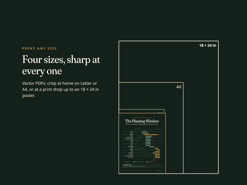 Pu&ograve; includere: Un grafico verde scuro che mostra quattro contorni rettangolari nidificati che rappresentano diverse dimensioni di stampa, inclusi A3 e 18 x 24 pollici. Il testo recita: Print any size, Four sizes, sharp at every one, Vector PDFs.