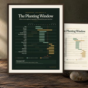 Pu&ograve; includere: Due stampe artistiche da parete incorniciate intitolate The Planting Window, che mostrano un calendario per la semina degli ortaggi. Una stampa ha uno sfondo verde scuro con testo bianco, l'altra uno sfondo crema con testo nero, entrambe con cronologie.