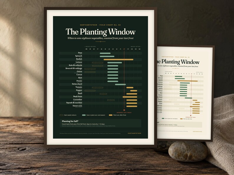 Pu&ograve; includere: Due stampe artistiche da parete incorniciate intitolate The Planting Window, che mostrano un calendario per la semina degli ortaggi. Una stampa ha uno sfondo verde scuro con testo bianco, l'altra uno sfondo crema con testo nero, entrambe con cronologie.