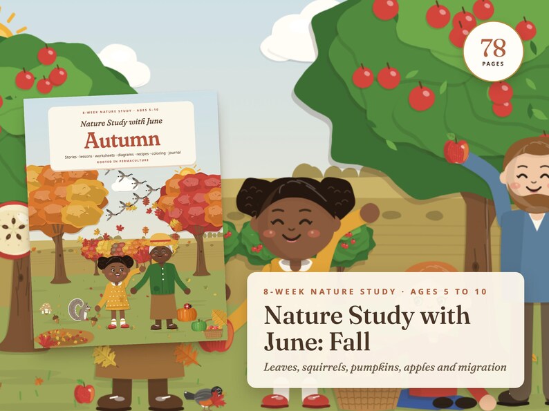Estudio de la naturaleza en otoño para niños, unidad didáctica de otoño para la educación en casa, ciclos de vida de la calabaza y la manzana, edades de 5 a 10 años. imagen 2