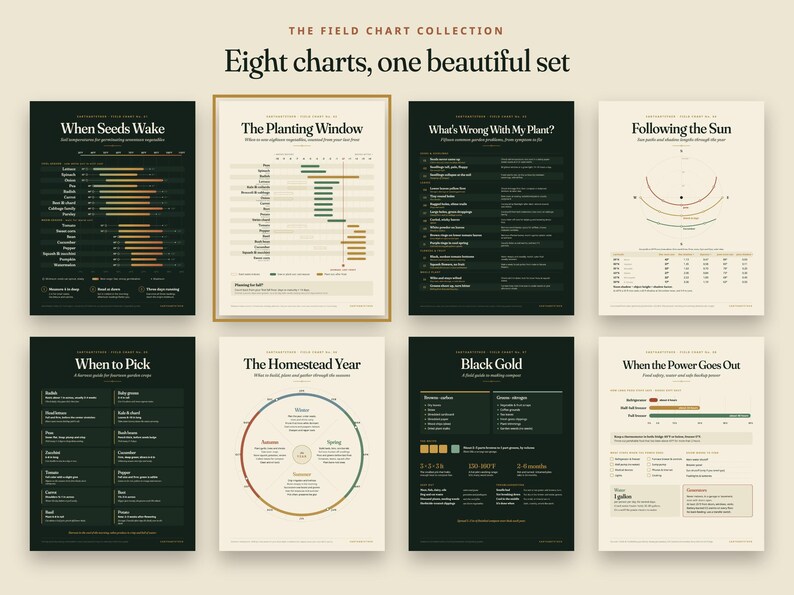 Pu&ograve; includere: Una collezione di otto poster educativi intitolata The Field Chart Collection. I grafici presentano sfondi verde scuro e crema con testo e diagrammi che coprono argomenti di giardinaggio come semina, germinazione e compostaggio.