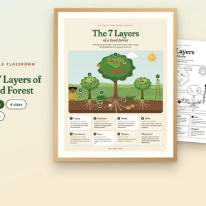 Peut inclure: Une affiche &eacute;ducative imprimable intitul&eacute;e The 7 Layers of a Food Forest, pr&eacute;sentant un diagramme color&eacute; d'arbres, de plantes et de racines num&eacute;rot&eacute;s de un &agrave; sept, avec une version en noir et blanc &agrave; colorier sur la droite.