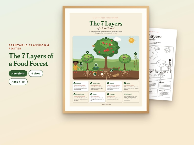 Peut inclure: Une affiche &eacute;ducative imprimable intitul&eacute;e The 7 Layers of a Food Forest, pr&eacute;sentant un diagramme color&eacute; d'arbres, de plantes et de racines num&eacute;rot&eacute;s de un &agrave; sept, avec une version en noir et blanc &agrave; colorier sur la droite.