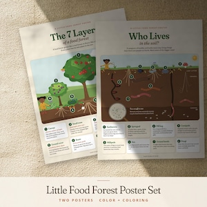 Può includere: Due poster educativi intitolati The 7 Layers of a Food Forest e Who Lives in the Soil. I poster presentano illustrazioni colorate di alberi, piante e organismi del suolo con etichette numerate e testo descrittivo sugli ecosistemi.