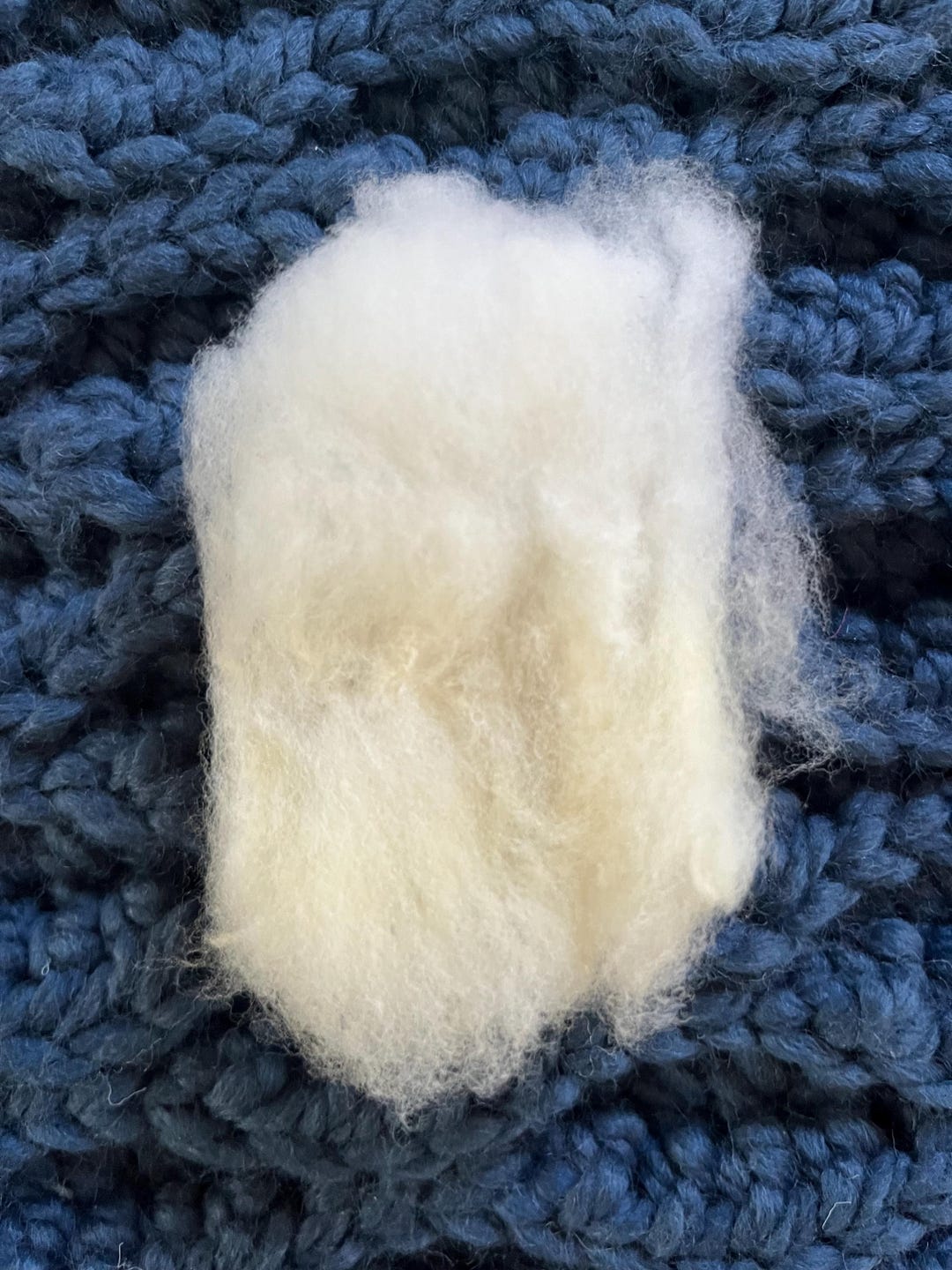 Raw Texan White Wool, Washed Fleece, Raw Wool Fleece Cleaned for ...