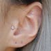 see more listings in the Tragus Ear Cuffs section
