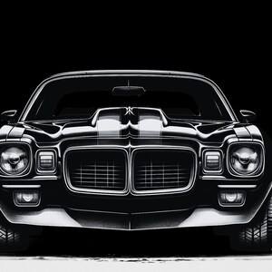 Pontiac Firebird Black and White Poster
