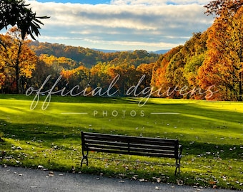 Autumn Bench Photography Print | Virginia Woodland Fall Foliage Wall Art (Digital Download)