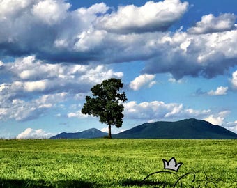Lone Tree Virginia Landscape Photography Print, Blue Sky Clouds Mountain Art (Digital Download)