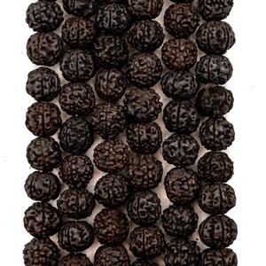 Mala de Rudraksha, rosario marrón oscuro de 10 mm, 101,6 cm (40 pulgadas), joyería artesanal de Nepal imagen 5