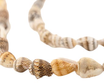 Natural Brown Shell Beads: Coastal Charm for Beach and Bohemian Jewelry Designs