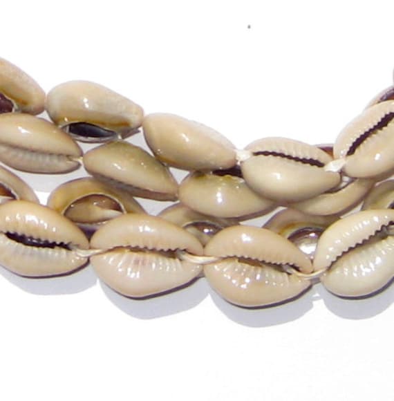 80 Kenyan Cowrie Shells African Shell Beads Cowry Shells African