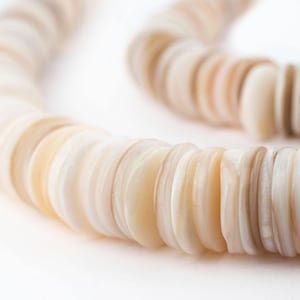 Può includere: Primo piano di una collana composta da perline piatte e rotonde di conchiglia. Le perline sono in tonalità crema, beige e marrone chiaro. La collana è curva, con le perline disposte in un motivo circolare su sfondo bianco.