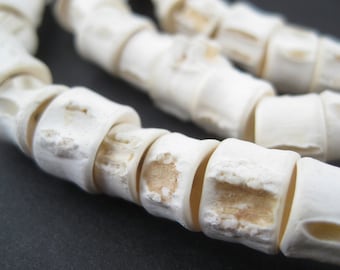 190-220 Fish Bone Beads 8-12mm - African Bone Beads - Natural Bone Beads - Jewelry Making Supplies - Made in West Africa + (BON-UNU-WHT-231)