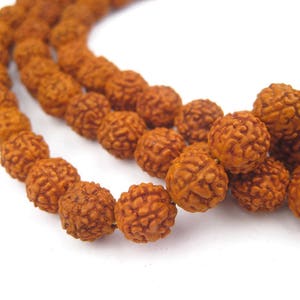 108 Rudraksha Natural Seed Prayer Beads: 8mm Rudraksha Beads Wood Mala Beads Natural Seed Beads Natural Wood Beads Wood Ball Beads