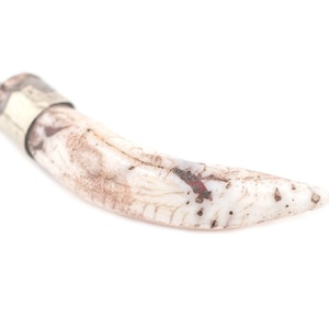 Silver Capped Conch Shell Pendant 55mm: Shell Tusk Pendant Conch Shell Beads Naga Shell Beads Unique Finding Vintage Shell Beads
