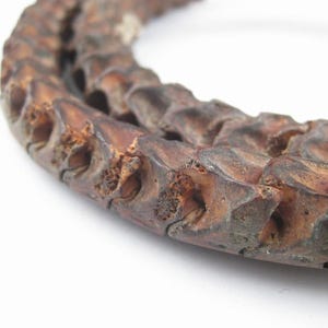 Może przedstawiać: Zbliżenie fragmentu brązowego, segmentowanego obiektu, prawdopodobnie elementu dekoracyjnego lub artefaktu naturalnego. Obiekt ma szorstką, teksturowaną powierzchnię z widocznymi detalami i zakrzywionym kształtem. Kolor to mieszanka ciemnych i jasnych brązów.