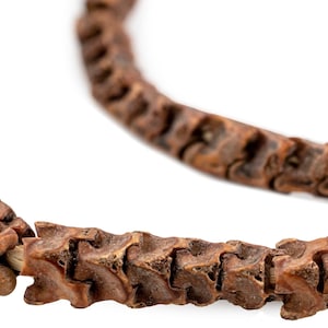 May include: Close-up of a brown, segmented necklace, resembling a spine. The necklace is made of individual, bone-like pieces strung together. The background is plain white, highlighting the necklace's texture and form.