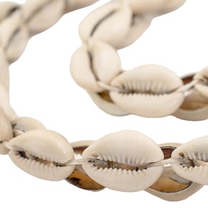 50 conchiglie di ciprea del Kenya - Perline di conchiglie africane - Conchiglie di ciprea - Perline africane - Perline di conchiglie di ciprea - Perline di conchiglie naturali ** (SHL-USU-WHT-117)