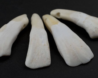 4 Water Buffalo Tooth Pendants: Buffalo Pendants Bone Tusk Pendant Bone Pendant Unique Finding Handmade Pendant Ethnic Pendant (PND-BON-426)