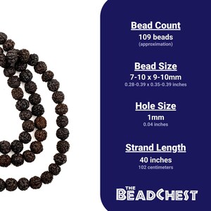 Mala de Rudraksha, rosario marrón oscuro de 10 mm, 101,6 cm (40 pulgadas), joyería artesanal de Nepal imagen 6