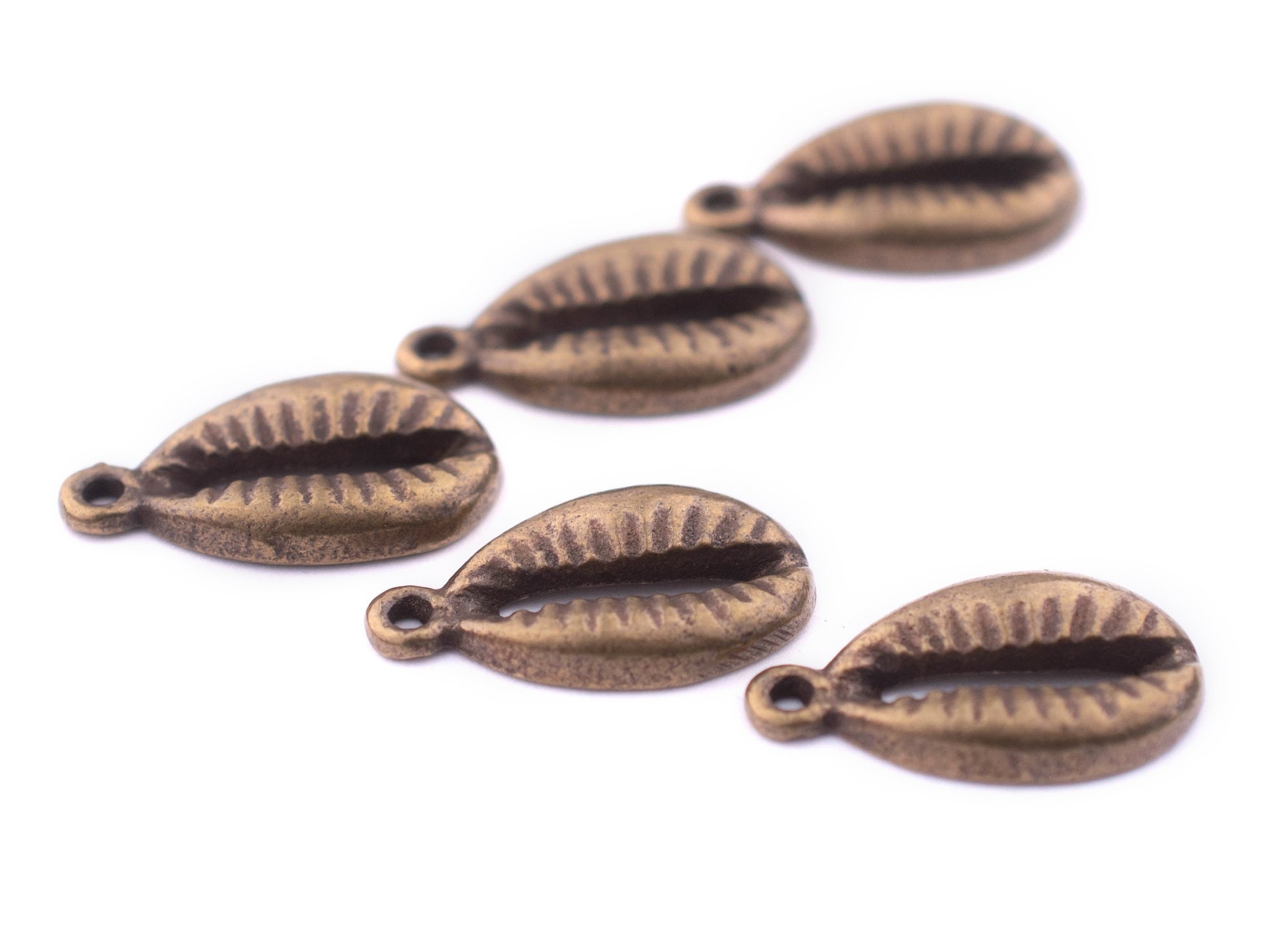 5 Antiqued Brass Cowrie Shell Charms Set of 5: Shells for Clothing Natural Seashell Cowry Shells Craft Shells Antiqued Brass Beads