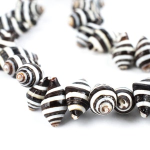 May include: A necklace composed of black and white striped seashells. The shells are cone-shaped and arranged in a curved line against a white backdrop. The shells have a spiral pattern at the top.