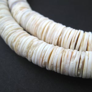 May include: A strand of white shell beads, each bead is a flat disc with a slightly irregular shape.