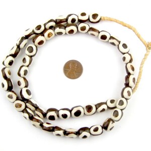 May include: A strand of brown and white beads with a white eye design. The beads are strung on a natural fiber cord.