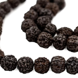 May include: A strand of dark brown beads made from natural materials. The beads are round and have a textured surface.