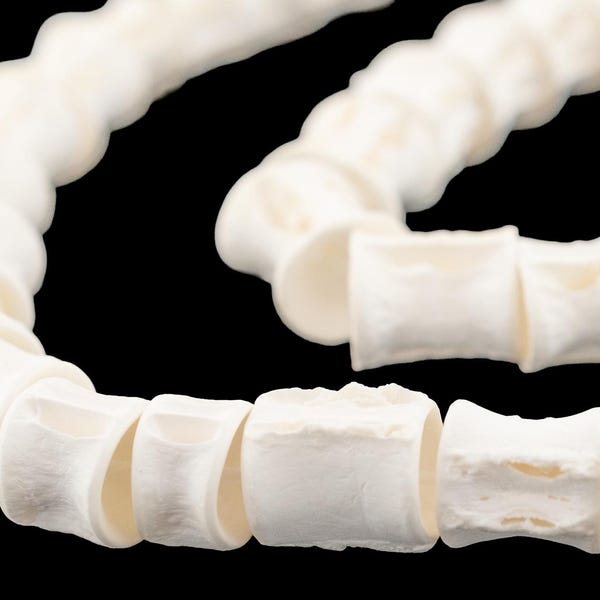 Natural Indonesian Fish Bone Beads: Large West African Vertebrae 48'' Strand