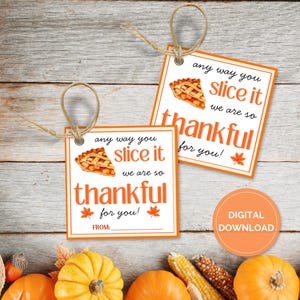 以下が含まれることがあります： 「any way you slice it we are so thankful for you!」のテキストとパイのスライスのイラストが描かれた2つのギフトタグ。タグはオレンジと白で、吊り下げ用の紐が付いています。画像には、カボチャ、トウモロコシ、パイも含まれています。