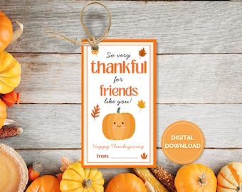 Thankful For Friends Tags, Friendsgiving Thankful For You, Thanksgiving Tags, Friendsgiving Tags Printable, Fall Tags, Editable in Canva