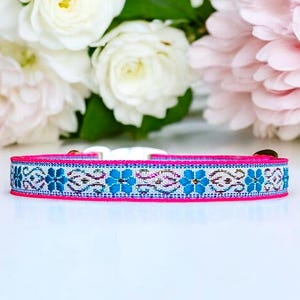 Bloom Bright - Vibrant Embroidered Cat Collar, Kitten Collar, Fancy Cat Collar, Breakaway Cat Collar, Elegant and chic pet collar.