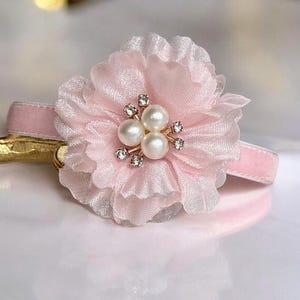 Pink Blossom - Pink velvet cat collar with pink  detachable flower, Small dog collar, Breakaway cat collar, luxurious velvet cat collar.