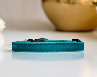 Könnte beinhalten: Türkisfarbenes Samt-Haustierhalsband mit schwarzer Kunststoffschnalle. Das Halsband hat eine leuchtende türkise Farbe und fühlt sich weich an. Der Hintergrund umfasst ein verschwommenes goldfarbenes Objekt und eine weiße Oberfläche.