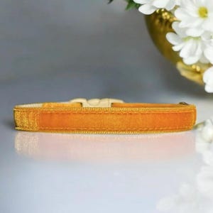 Golden Dusk Velvet Cat Collar - Posh velvet cat collar, Soft kitten collar, Small dog collar, Breakaway pet collar, Luxe velvet pet collar.