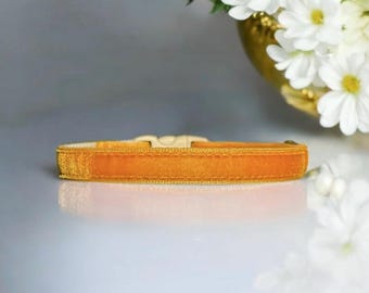 Golden Dusk Velvet Cat Collar - Posh velvet cat collar, Soft kitten collar, Small dog collar, Breakaway pet collar, Luxe velvet pet collar.