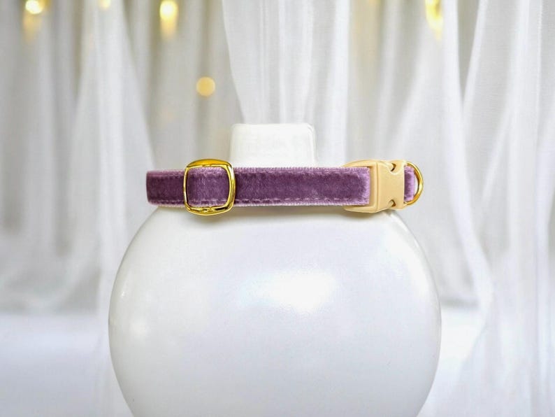Royal Serenity - Purple Velvet Cat Collar With Rhinestone Charm ...