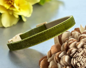 Collar para gatos: collar de terciopelo verde oliva para gatos, collar de terciopelo para gatitos, collar para perros pequeños, collar de seguridad para mascotas con sistema de seguridad, collar de terciopelo suave,
