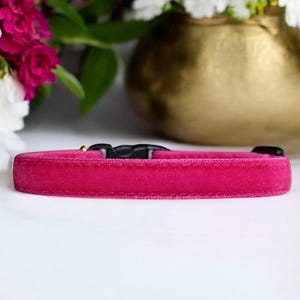 Purrberry Charm - Fuchsia Velvet Cat Collar, Velvet kitten collar, Small dog collar, Breakaway pet collar, Vibrant velvet cat collar.