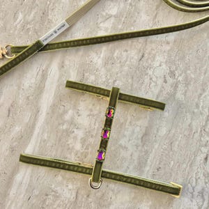 Olive Twilight Cat Harness and Leash Set - Velvet Rainbow Rhinestone Cat Harness Set, Kitten Harness and Leash Set, Small Dog Harness Set.