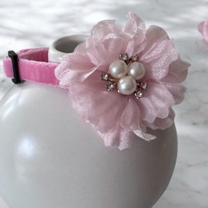 Cat Collar - Pink velvet cat collar, Floral pet collar, Small dog collar, Breakaway cat collar.