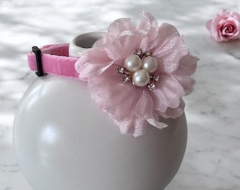 Cat Collar - Pink velvet cat collar, Floral pet collar, Small dog collar, Breakaway cat collar.