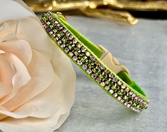 May include: A lime green pet collar with two rows of sparkling green and iridescent rhinestones. The collar has a beige plastic buckle. A cream-colored rose is in the background.