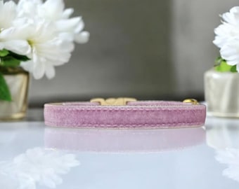 May include: A light pink velvet dog collar with gold hardware.