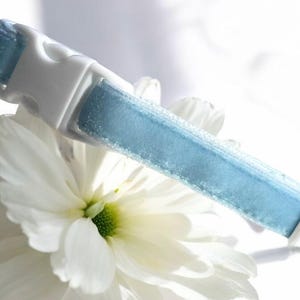 Cat Collar - Light blue velvet cat collar, Velvet kitten collar, Small dog collar, Breakaway Pet collar, Soft velvet collar, Safety collar.