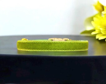 Spring Fern Velvet Cat Collar - Posh velvet cat collar, Soft kitten collar, Small dog collar, Breakaway pet collar, Green velvet pet collar.